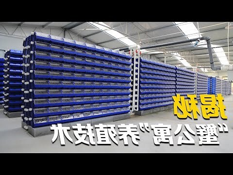 螃蟹 入 宅